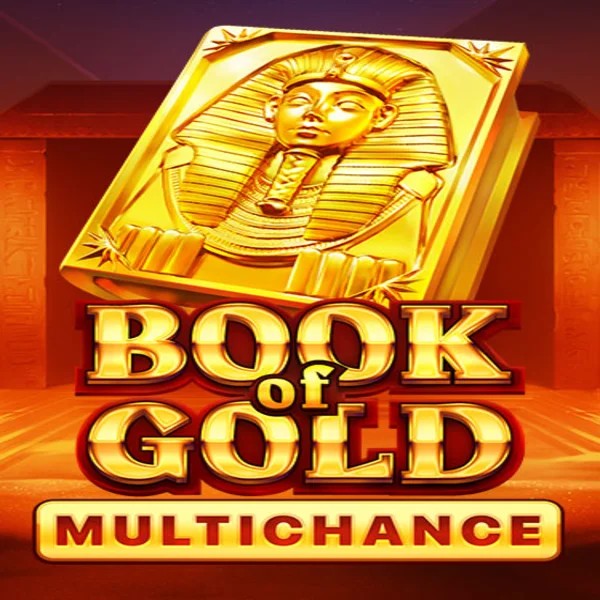 Try Book of Gold Multichance slot by Playson on vicibets.eu – logo image